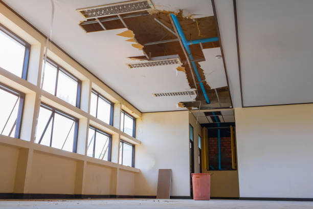 Best Carpet water damage restoration  in Iron Mountain, MI