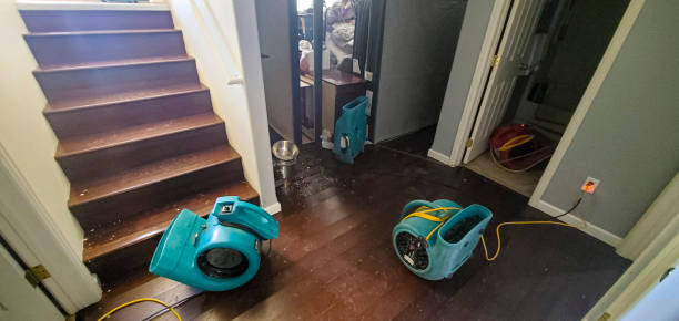 Best Water damage restoration process  in Iron Mountain, MI