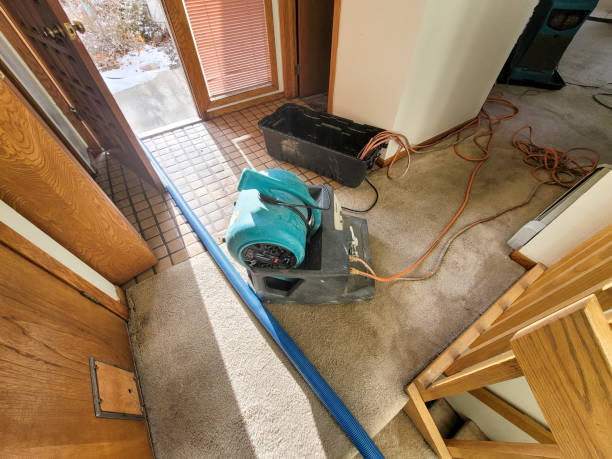 Reliable MI Water damage restoration Solutions