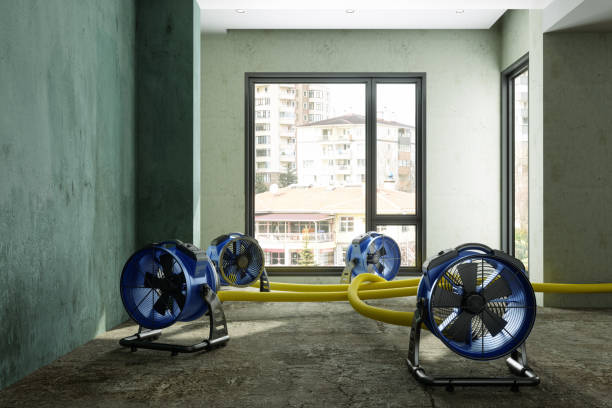 Best Residential water damage restoration  in Iron Mountain, MI