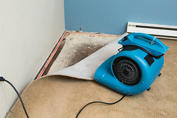 Best Ceiling water damage repair  in Iron Mountain, MI